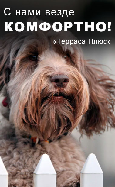 Строительство заборов и ограждений